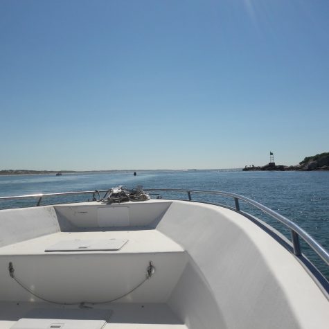 heading out at the mouth july 2017